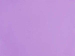 Image 06: Rio De Sol Slip Bottom Orchid Mel